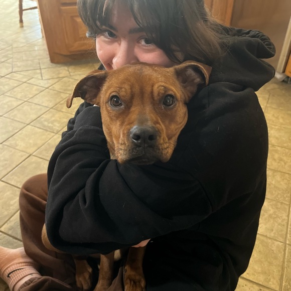 Meet your Posher, Jacey and Ginger - Picture 9 of 11